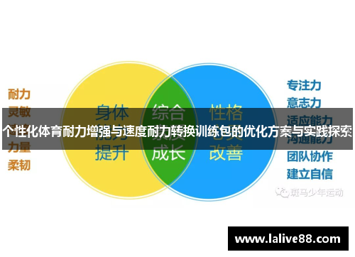 个性化体育耐力增强与速度耐力转换训练包的优化方案与实践探索